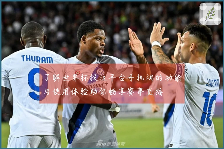 了解世界杯投注平台手机端的功能与使用体验助你畅享赛事直播