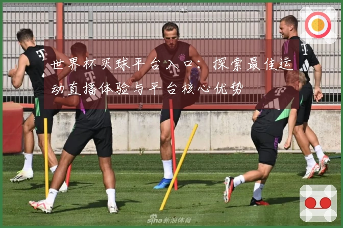 世界杯买球平台入口：探索最佳运动直播体验与平台核心优势