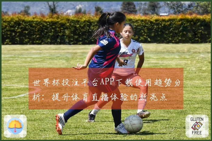 世界杯投注平台APP下载使用趋势分析：提升体育直播体验的新亮点