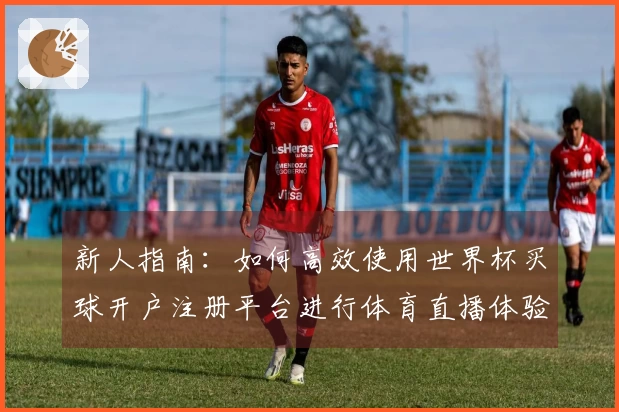 新人指南：如何高效使用世界杯买球开户注册平台进行体育直播体验